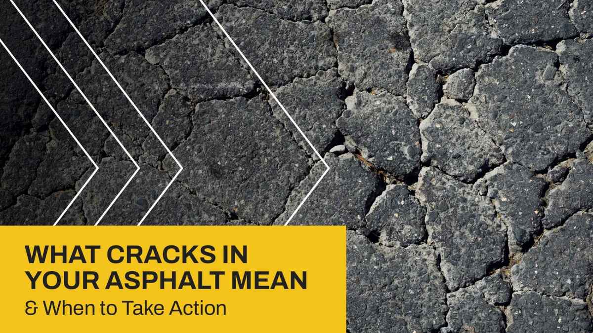 What Cracks in Your Asphalt Mean and When to Take Action